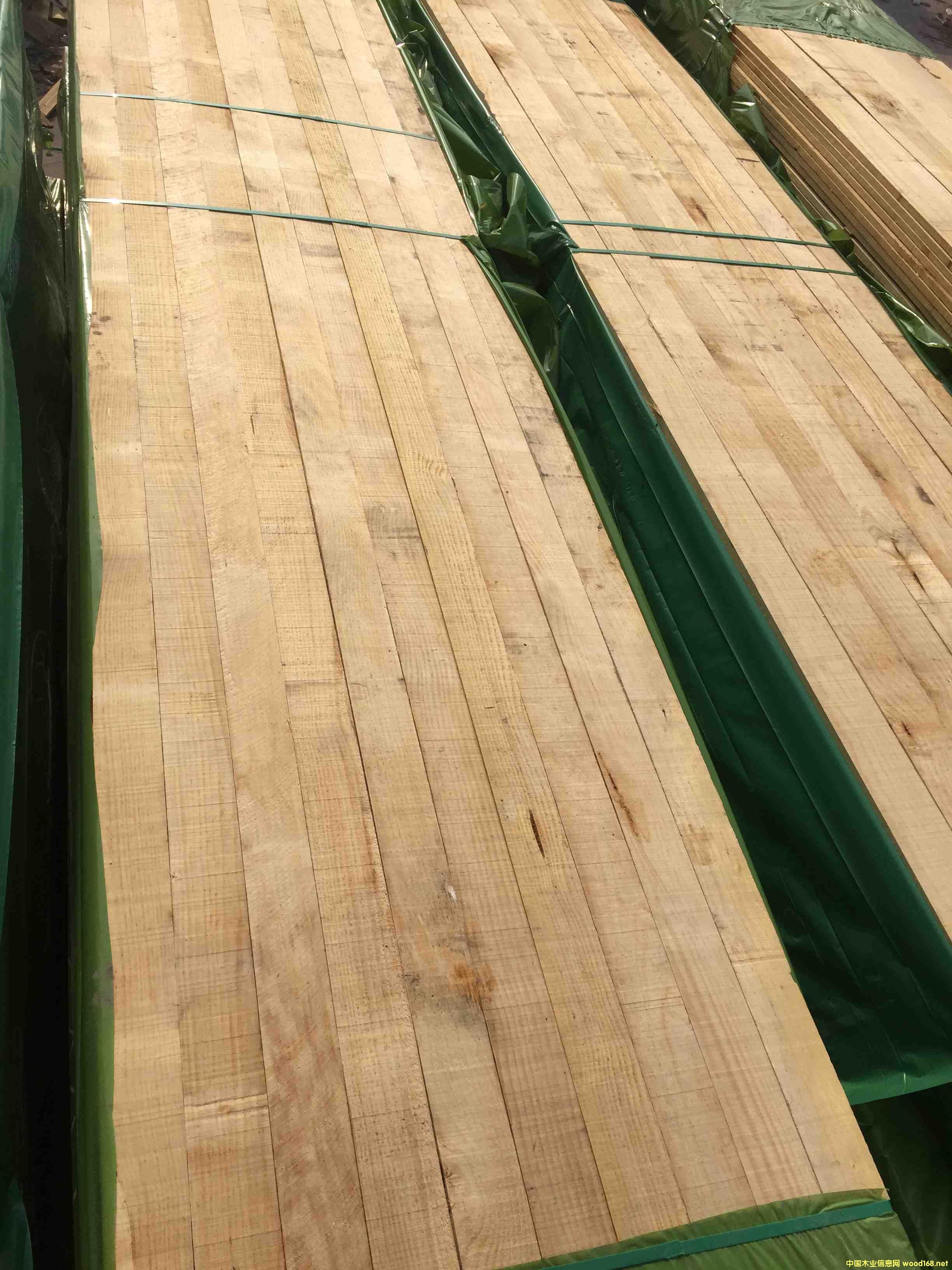 �����m�o��(ji��)������ݗ���ɵ�Ԕ��(x��)��B