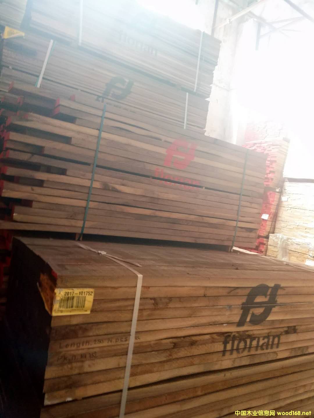 黑胡桃的詳細(xì)介紹