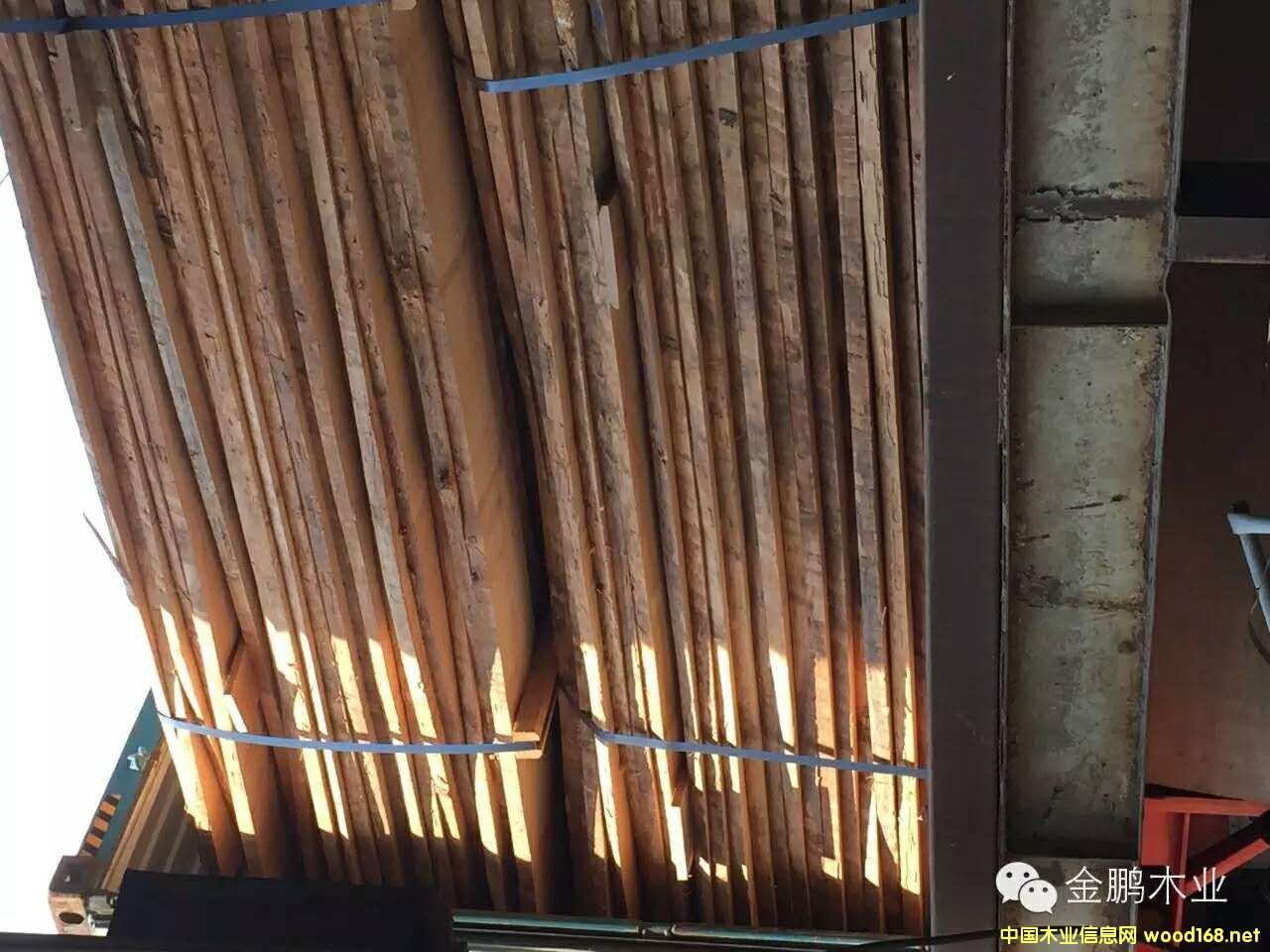 SFC��ľ���