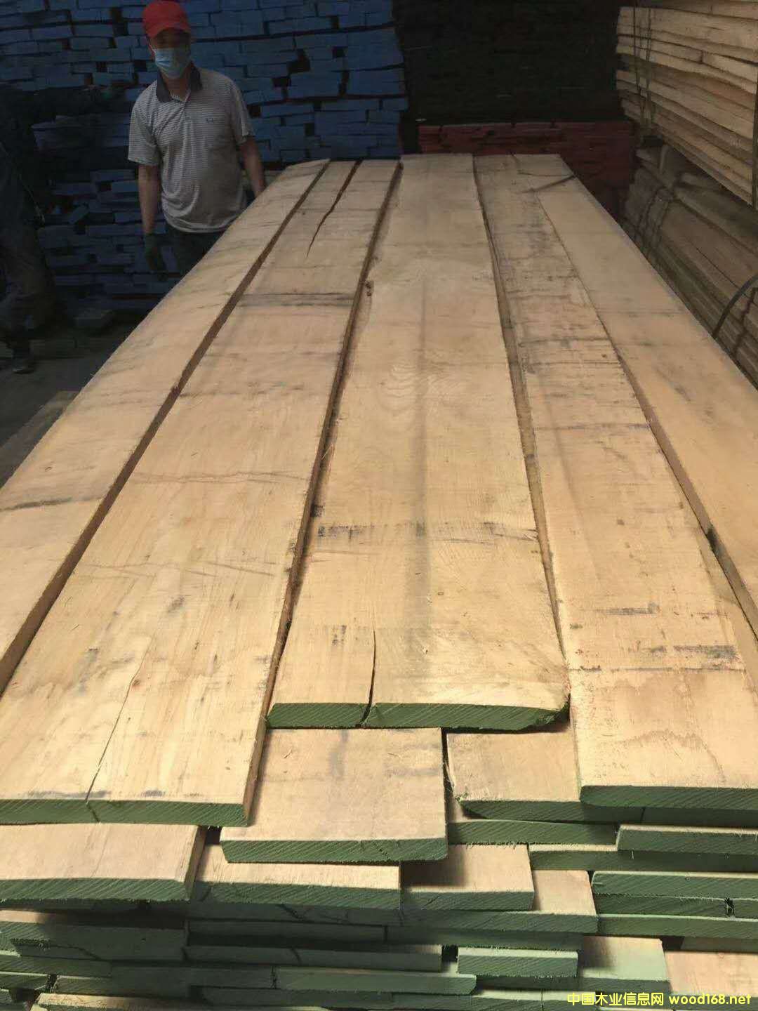 ���������Ԕ��(x��)��B