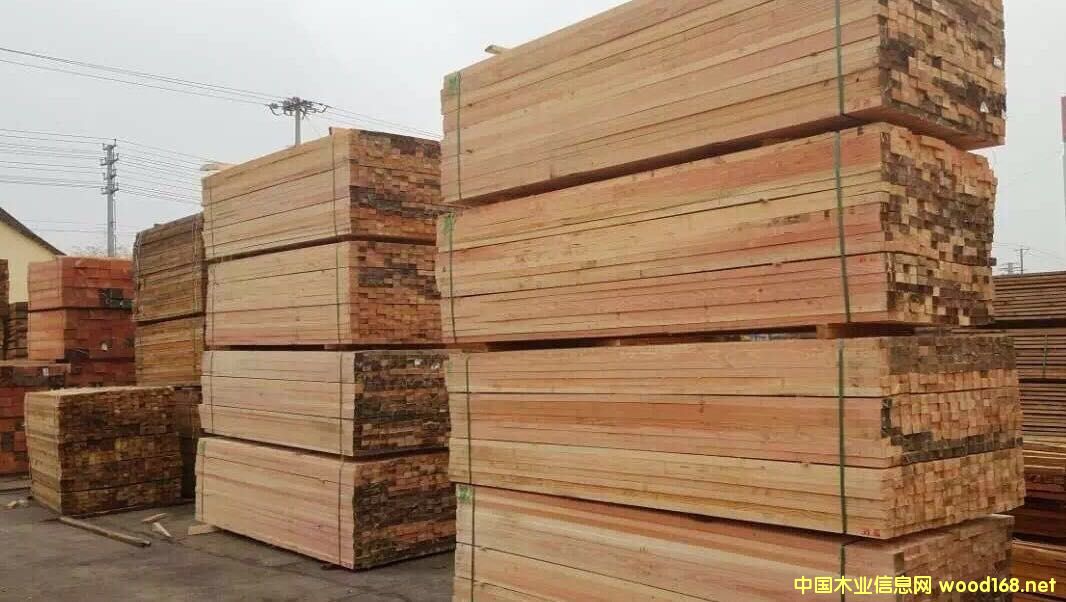 ������ľ��