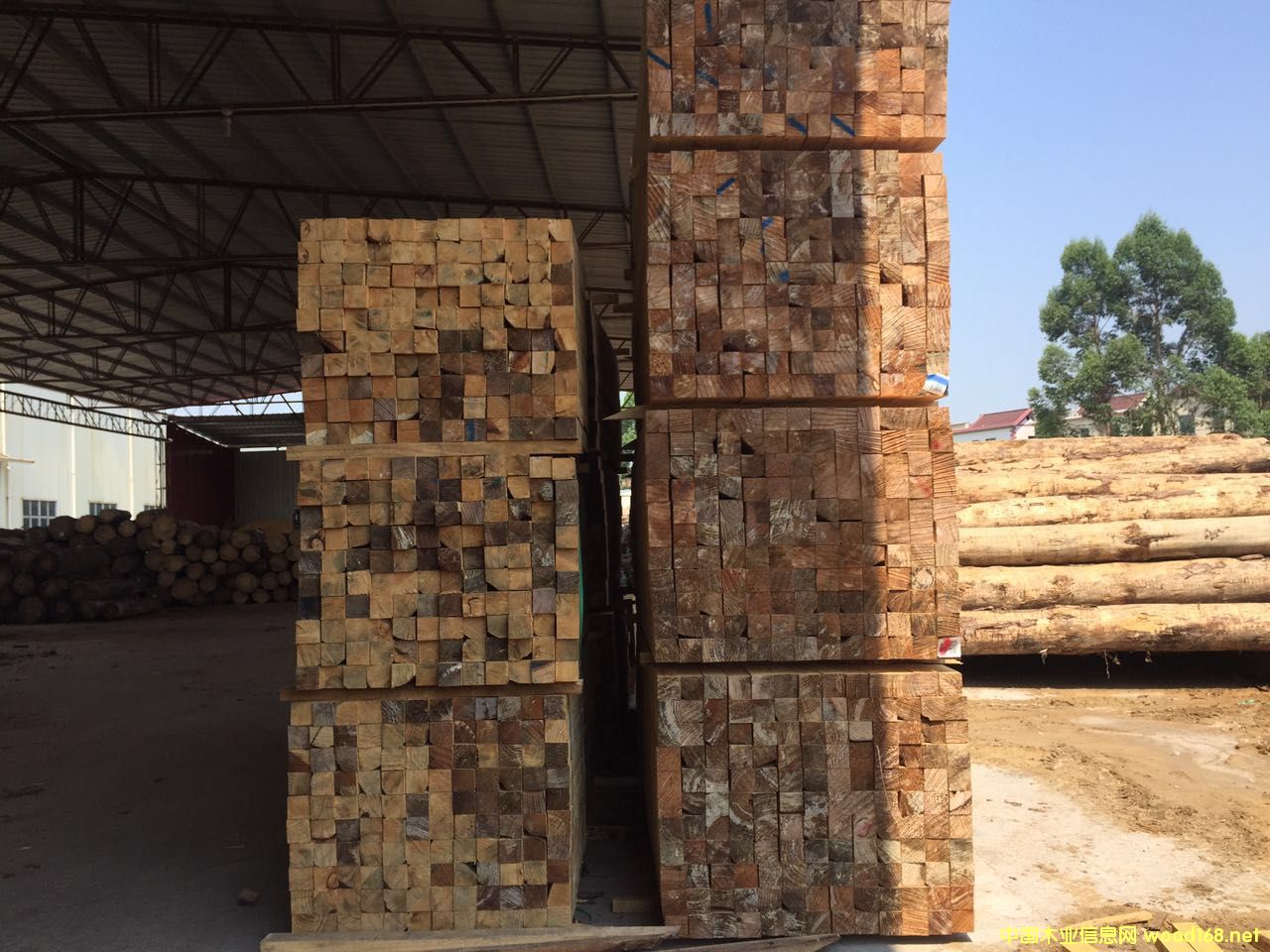 ������ľ��