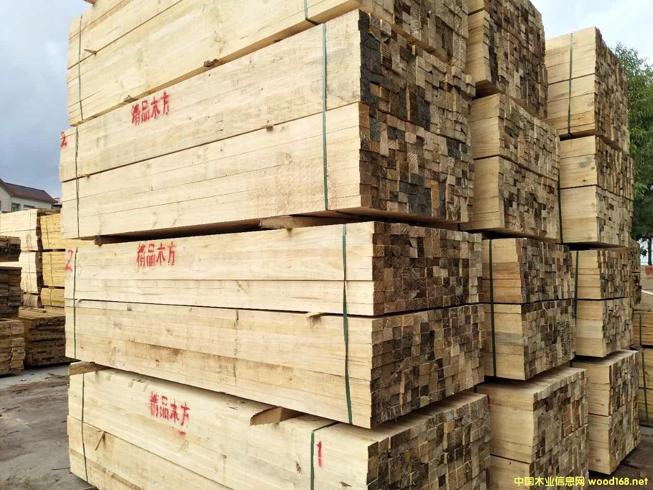 �����mݗ����ľ��