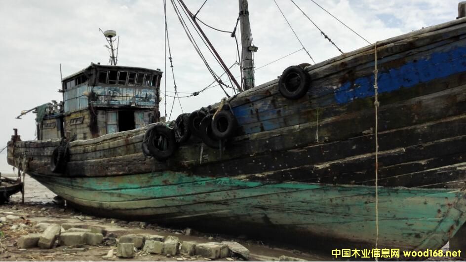 �f��ľ��Ԕ����B