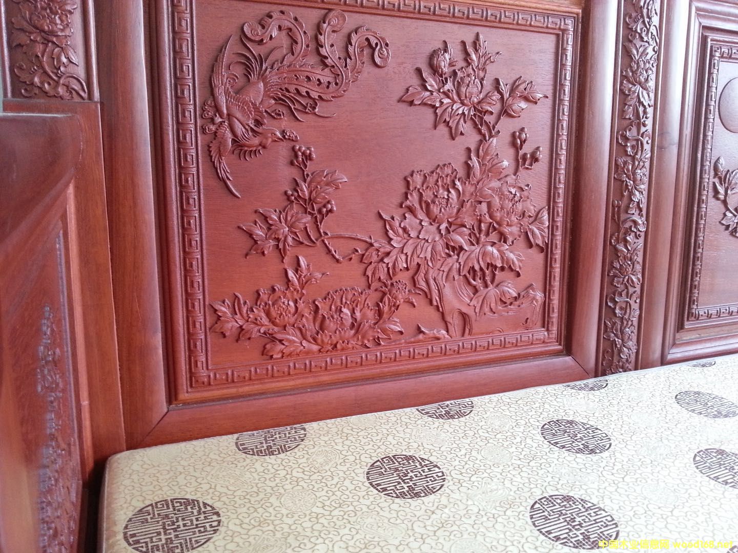 ��������ľ��Ԕ��(x��)��B