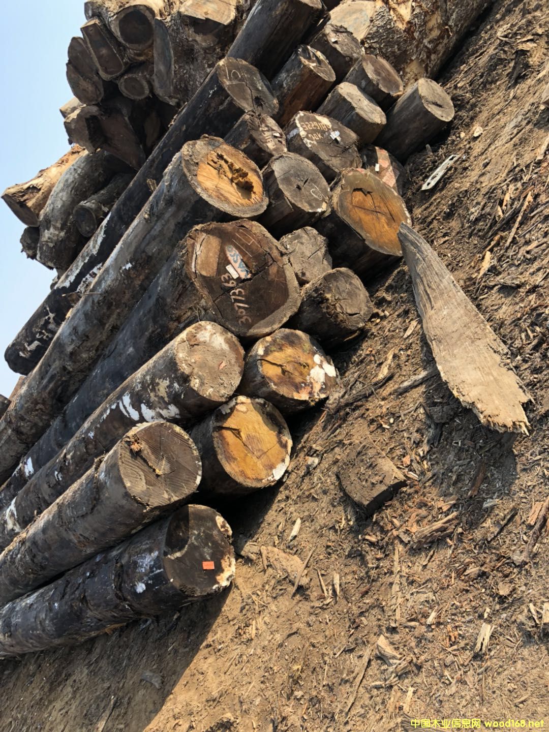 �������}��