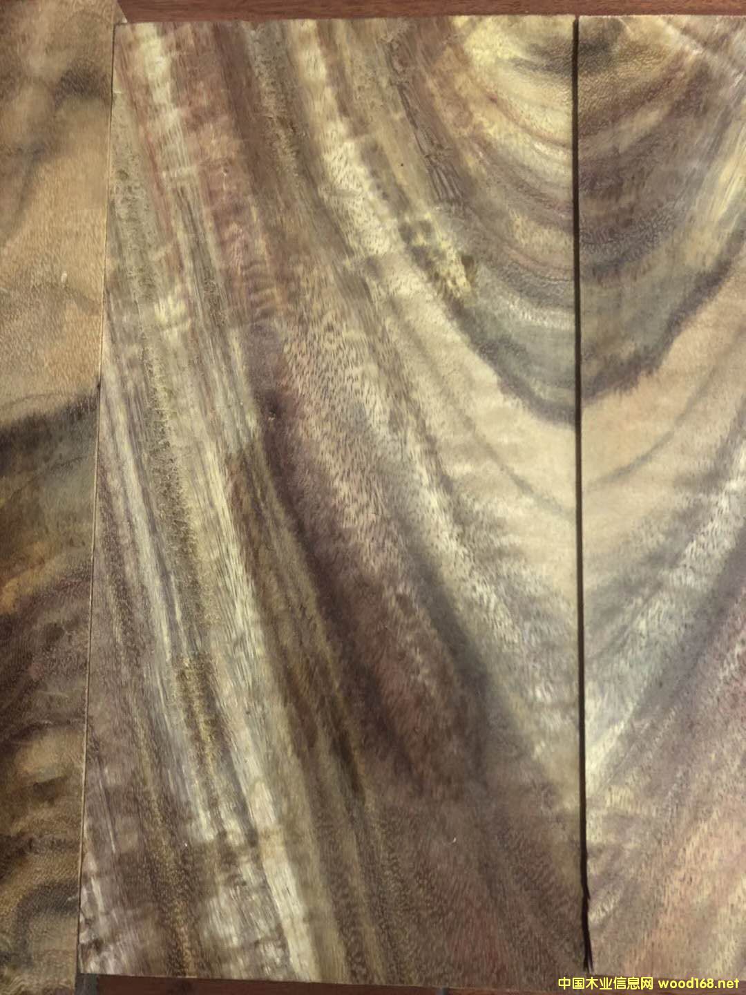 �������~�S�����Ԕ��(x��)��B