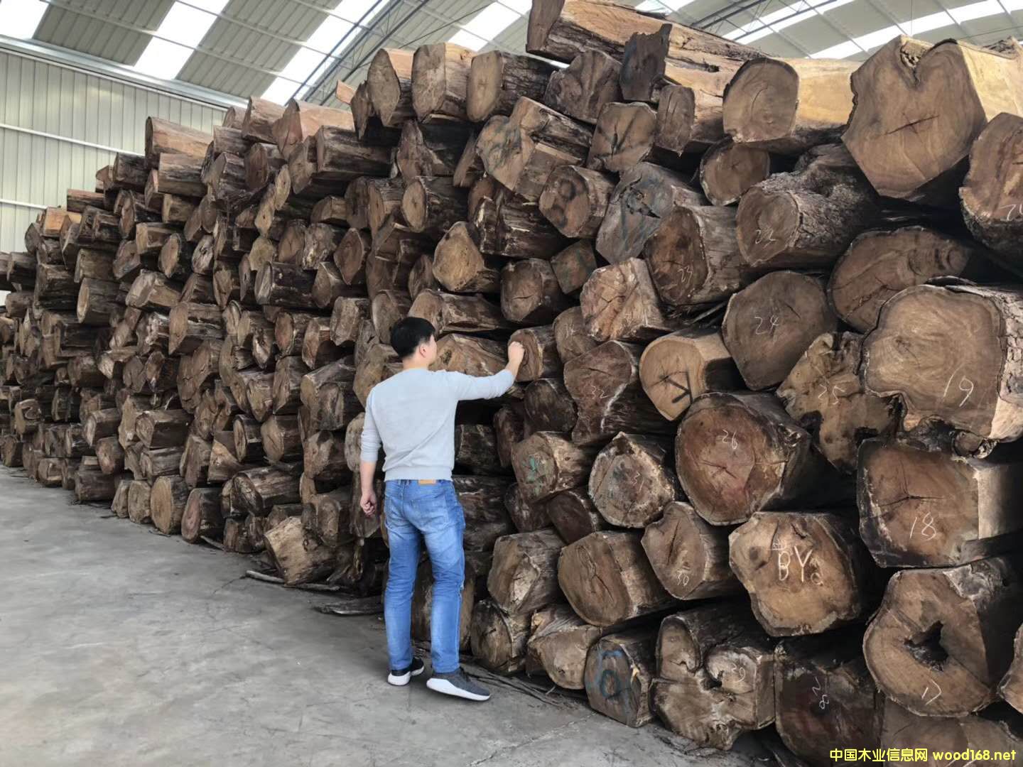 ���ȁ������̴