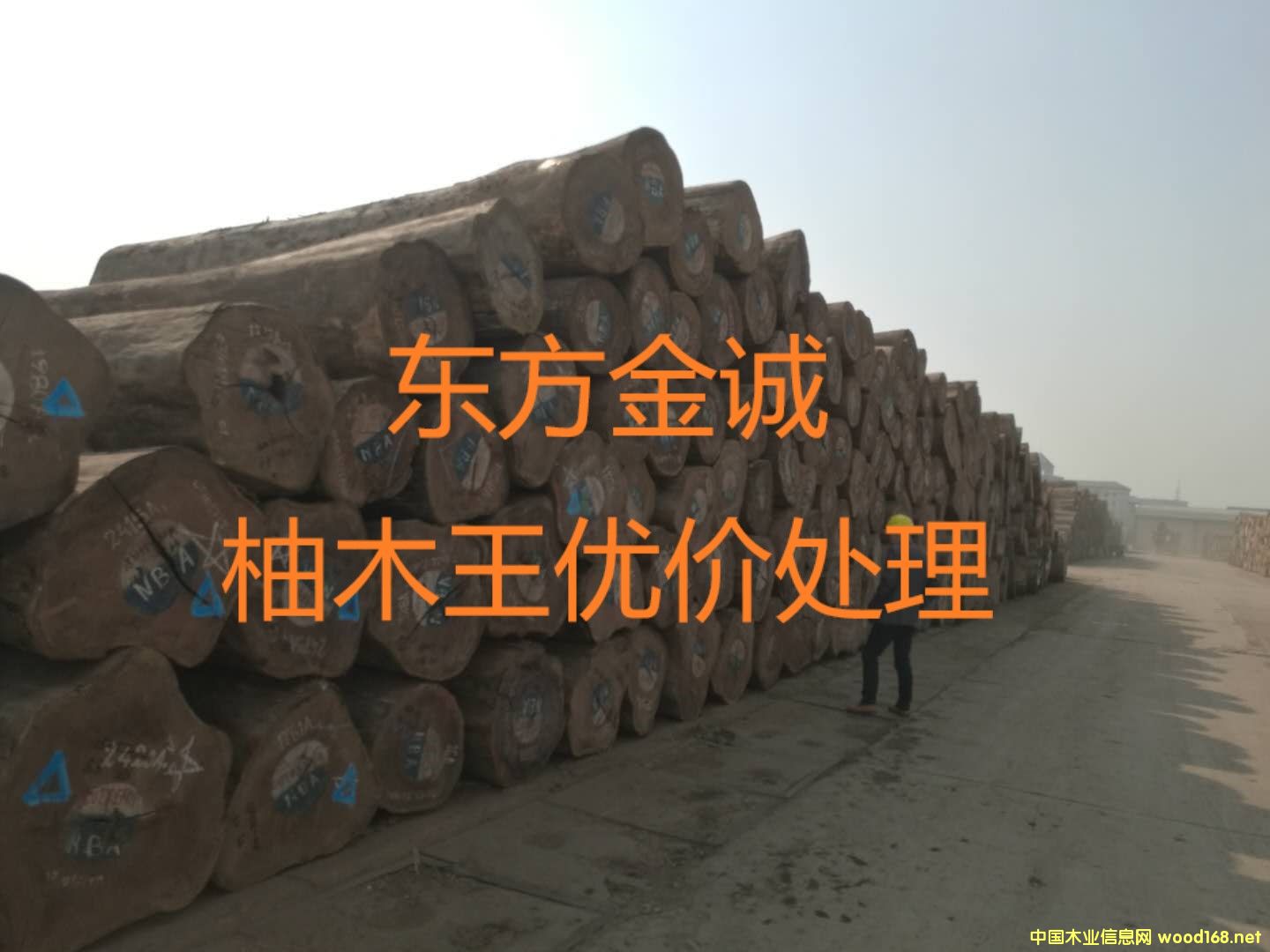 ������ľ��