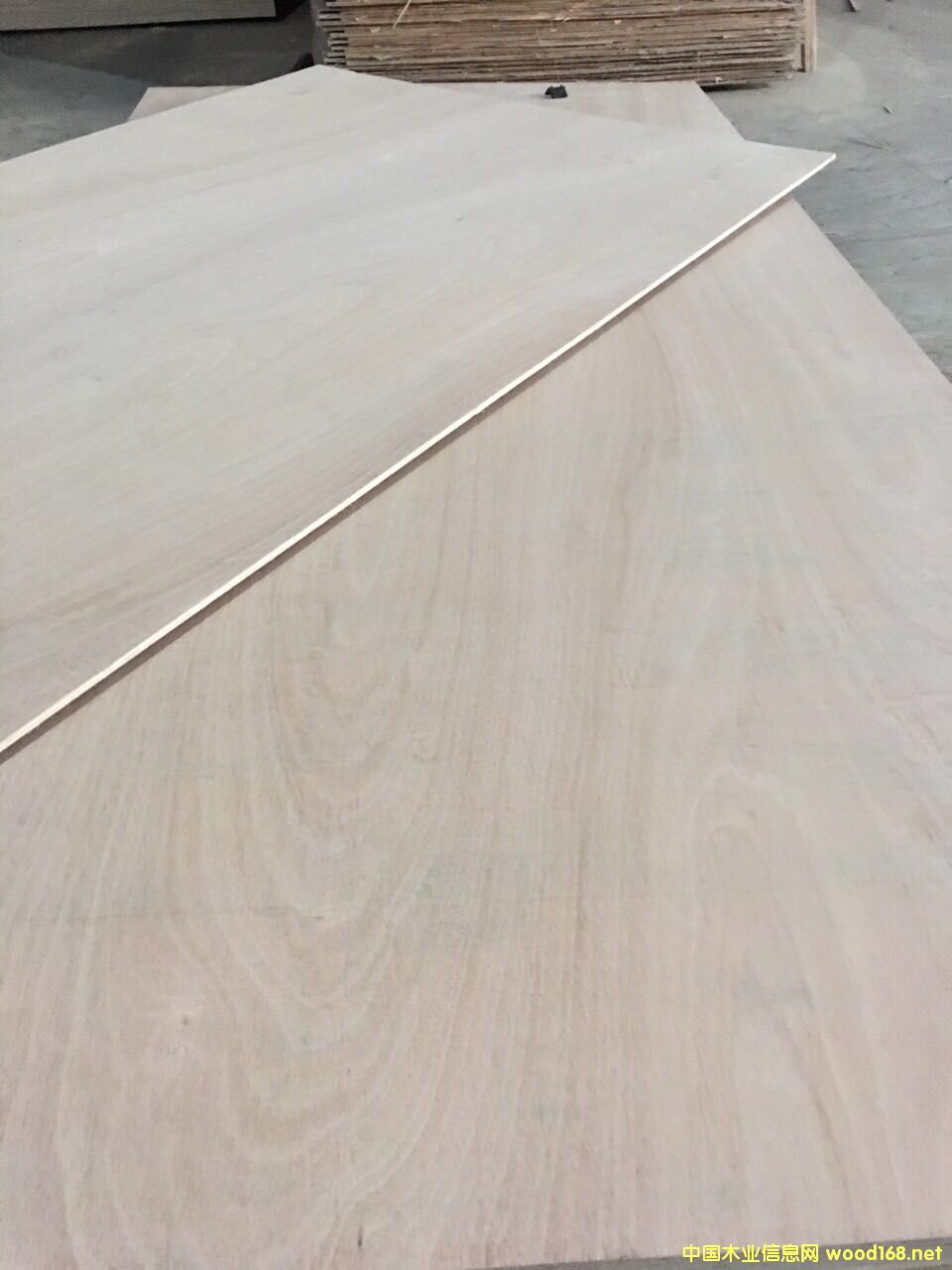 �Ҿ߰��Ԕ��(x��)��B