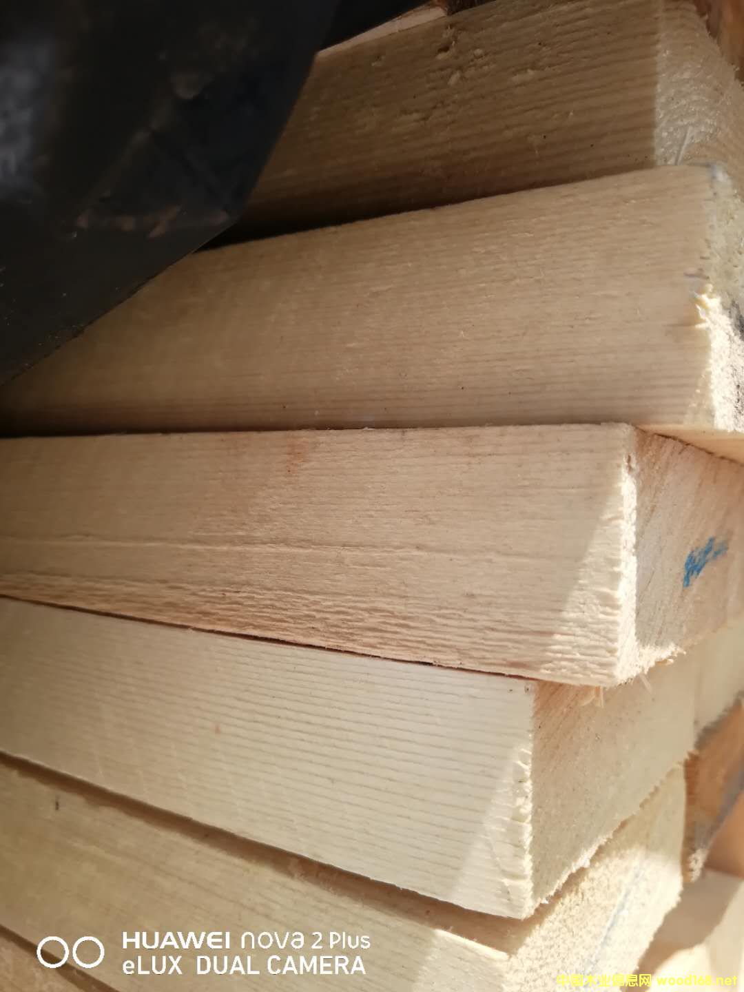 的詳細(xì)介紹