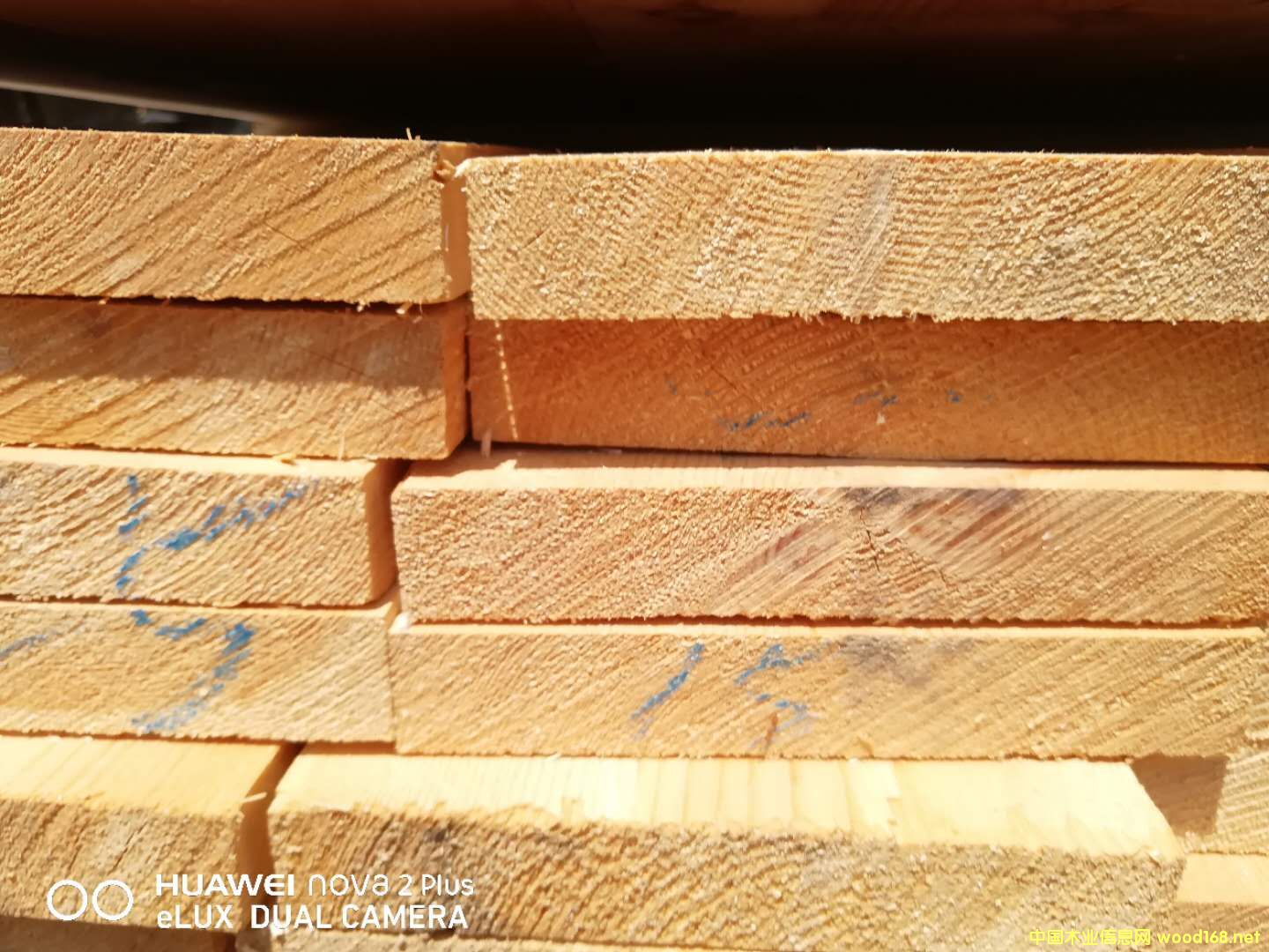 的詳細(xì)介紹