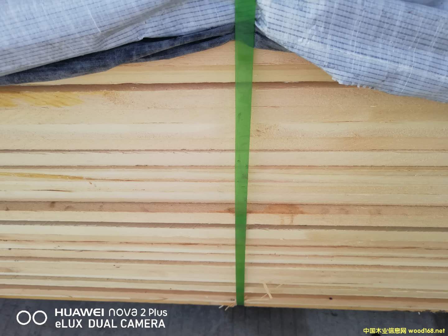 的詳細(xì)介紹