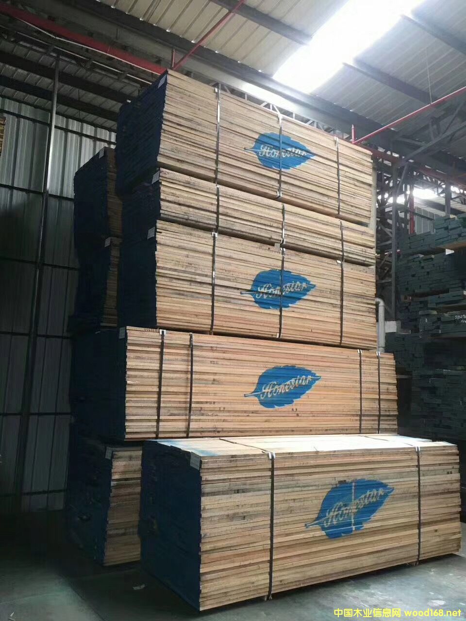 [��] �t��/��Ϟ/��ľ