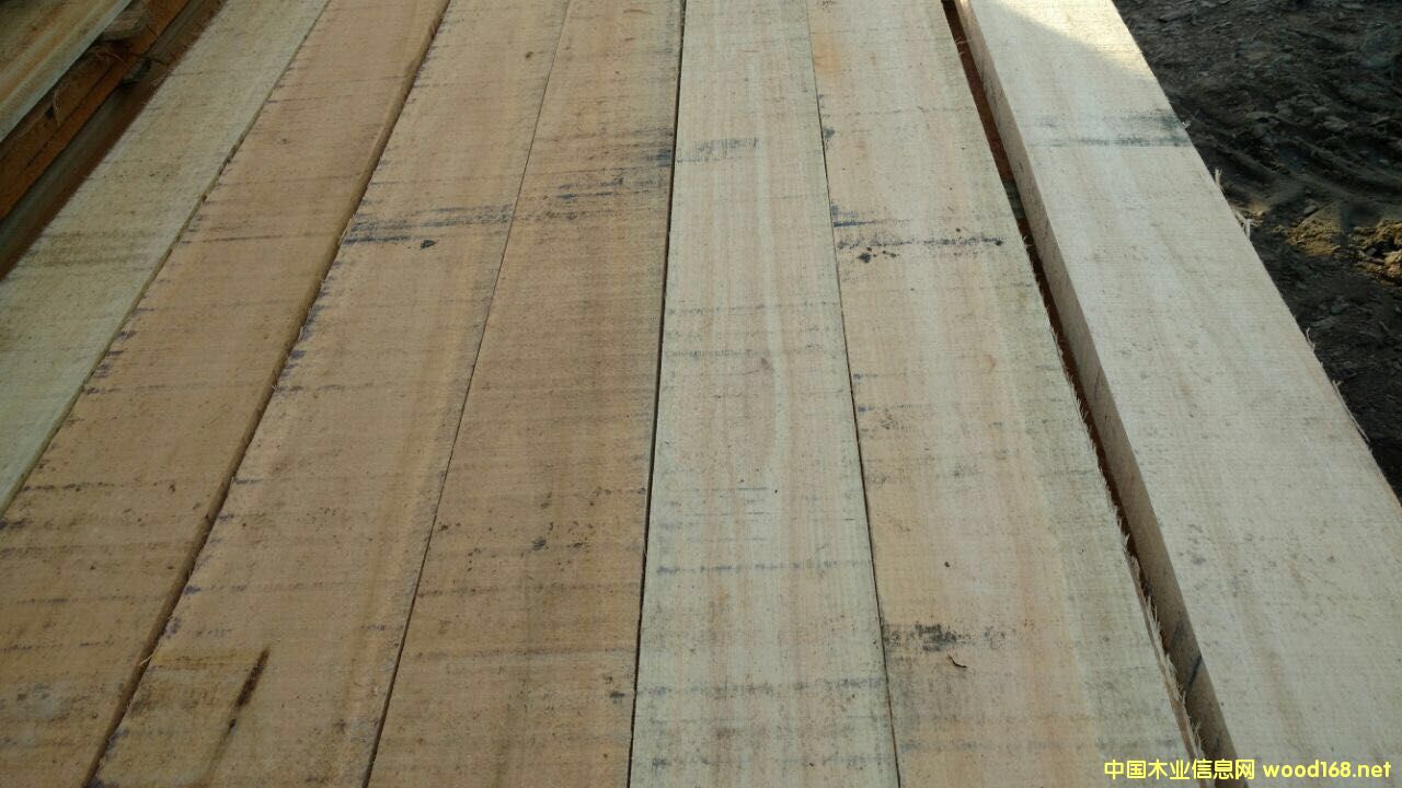 õ����ľ F.A.S 피� �������o��(ji��)�c��Ԕ��(x��)��B