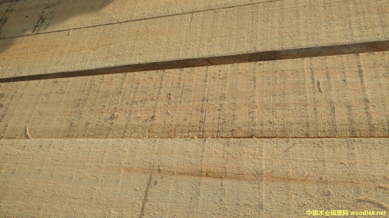 ����õ����ľ AD 