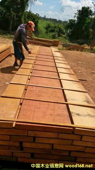 Jatoba �Z�а��� AD ����䏰�