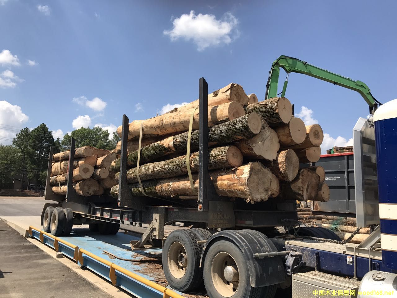 ����(gu��)ɽ����ľ