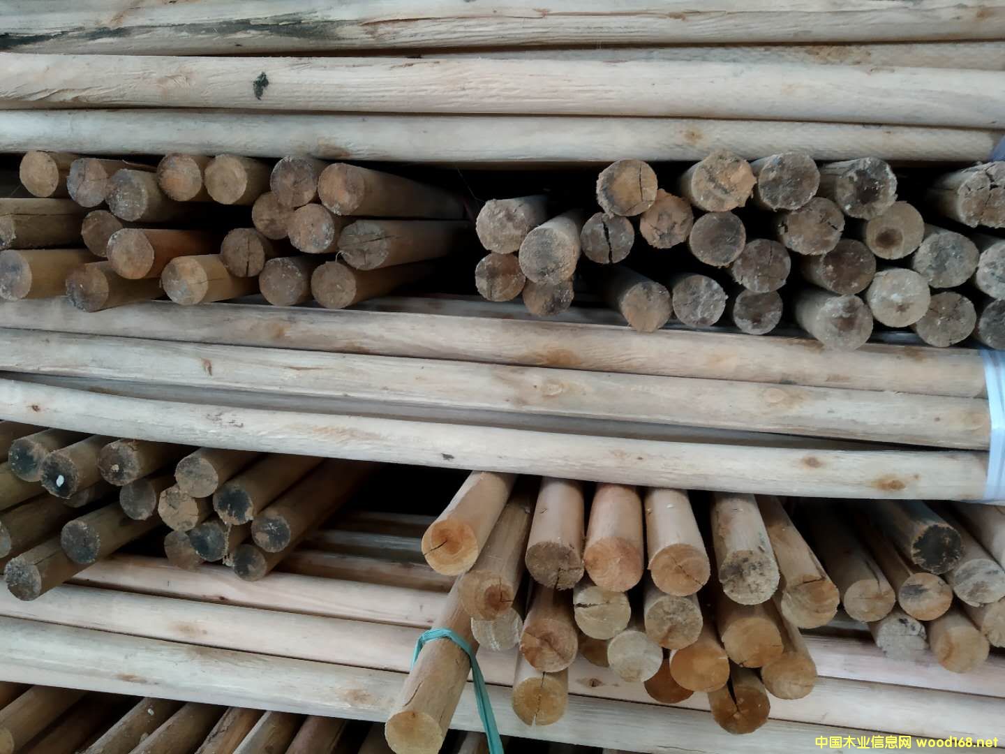 ����(y��ng)���ľ����ľľ����ľ�������