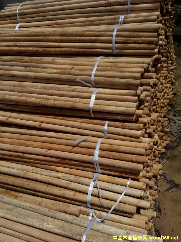 ��ľ����ľо��Ԕ����B