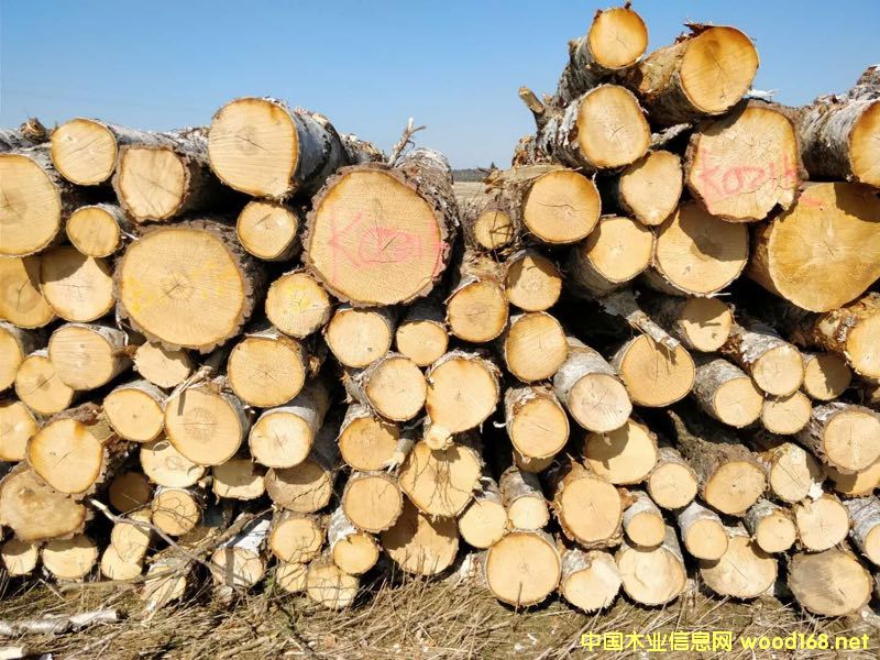 ��ľԭľ��؛