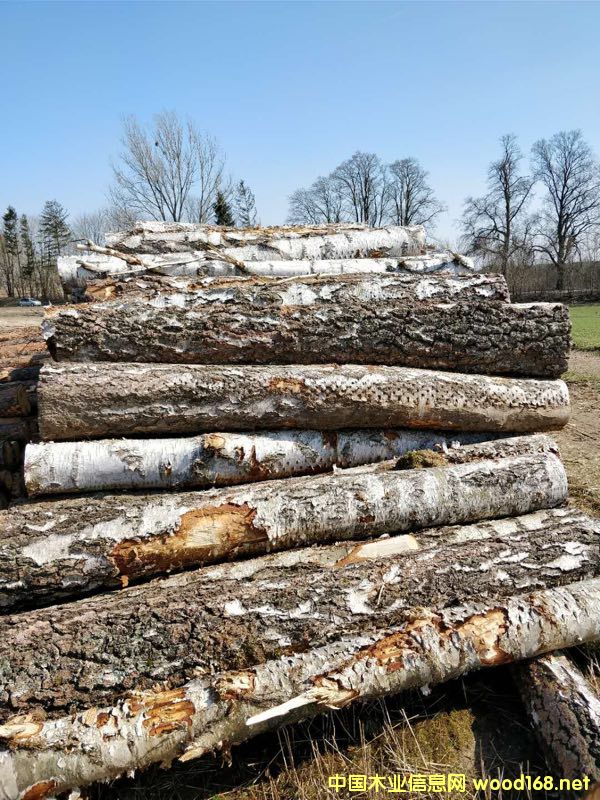 ��ľԭľ��؛