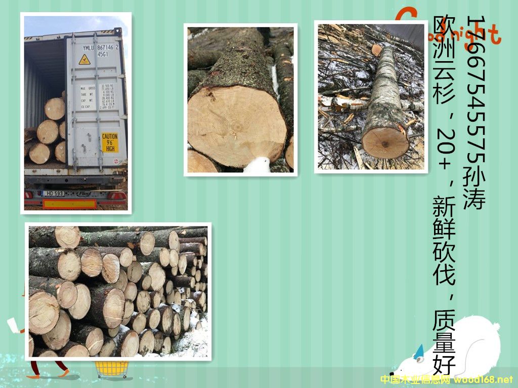 ��ɼԭľ��Ԕ��(x��)��B