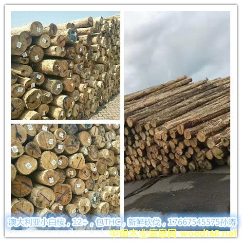 С����ԭľ��Ԕ��(x��)��B