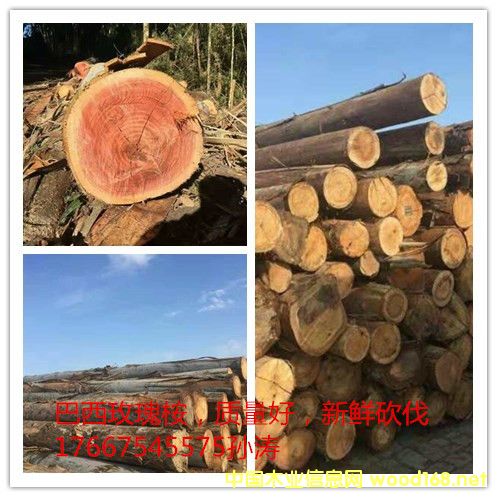 ����õ����ԭľ��Ԕ��(x��)��B