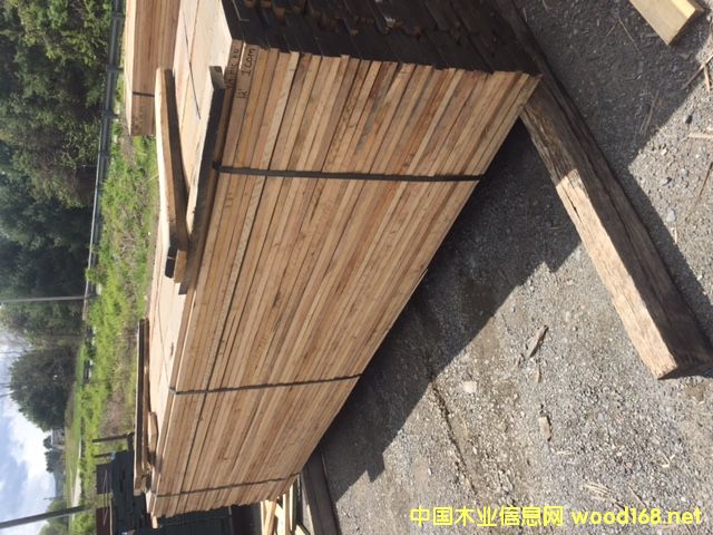 ����(gu��)ɽ����