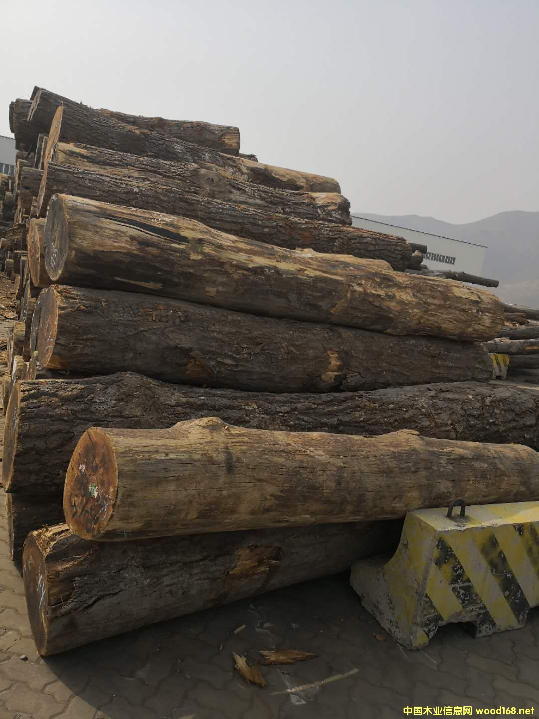 �����t��