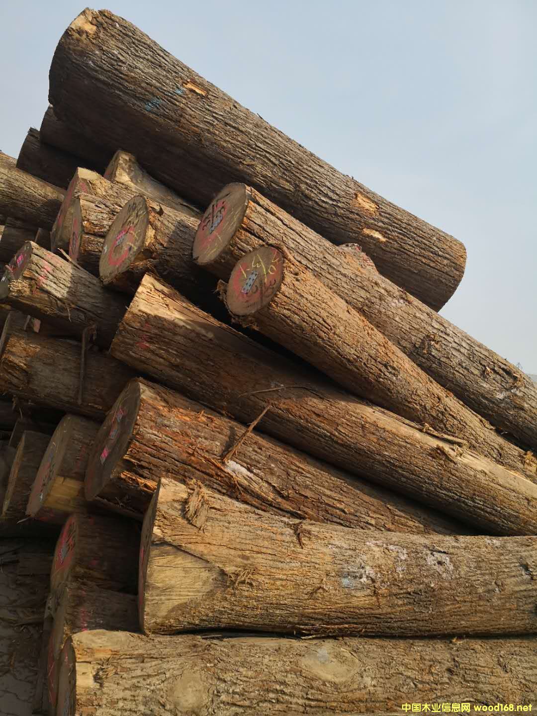 ����(gu��)�ľ��Ԕ��(x��)��B