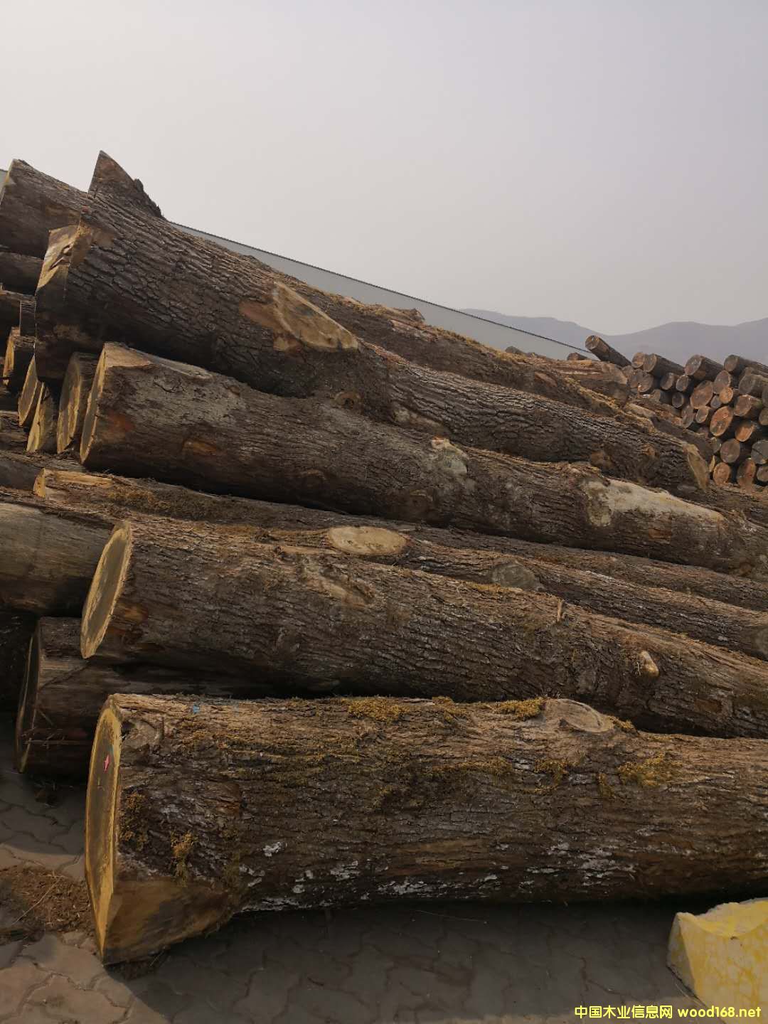 �W�ް����Ԕ��(x��)��B