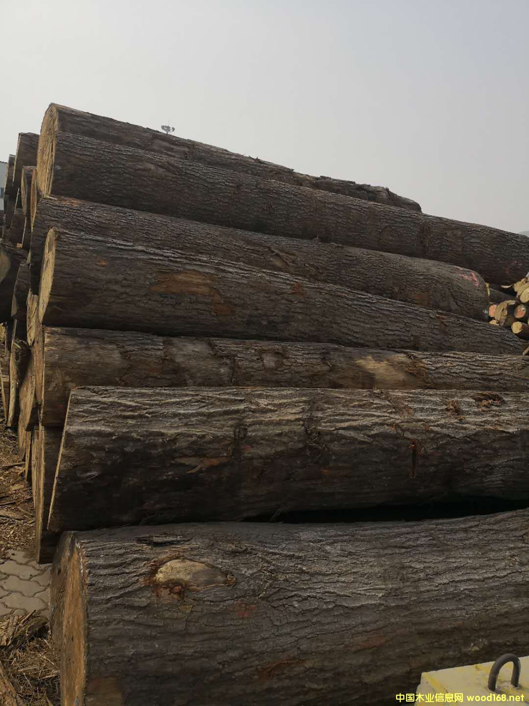 ����(gu��)�t���Ԕ��(x��)��B