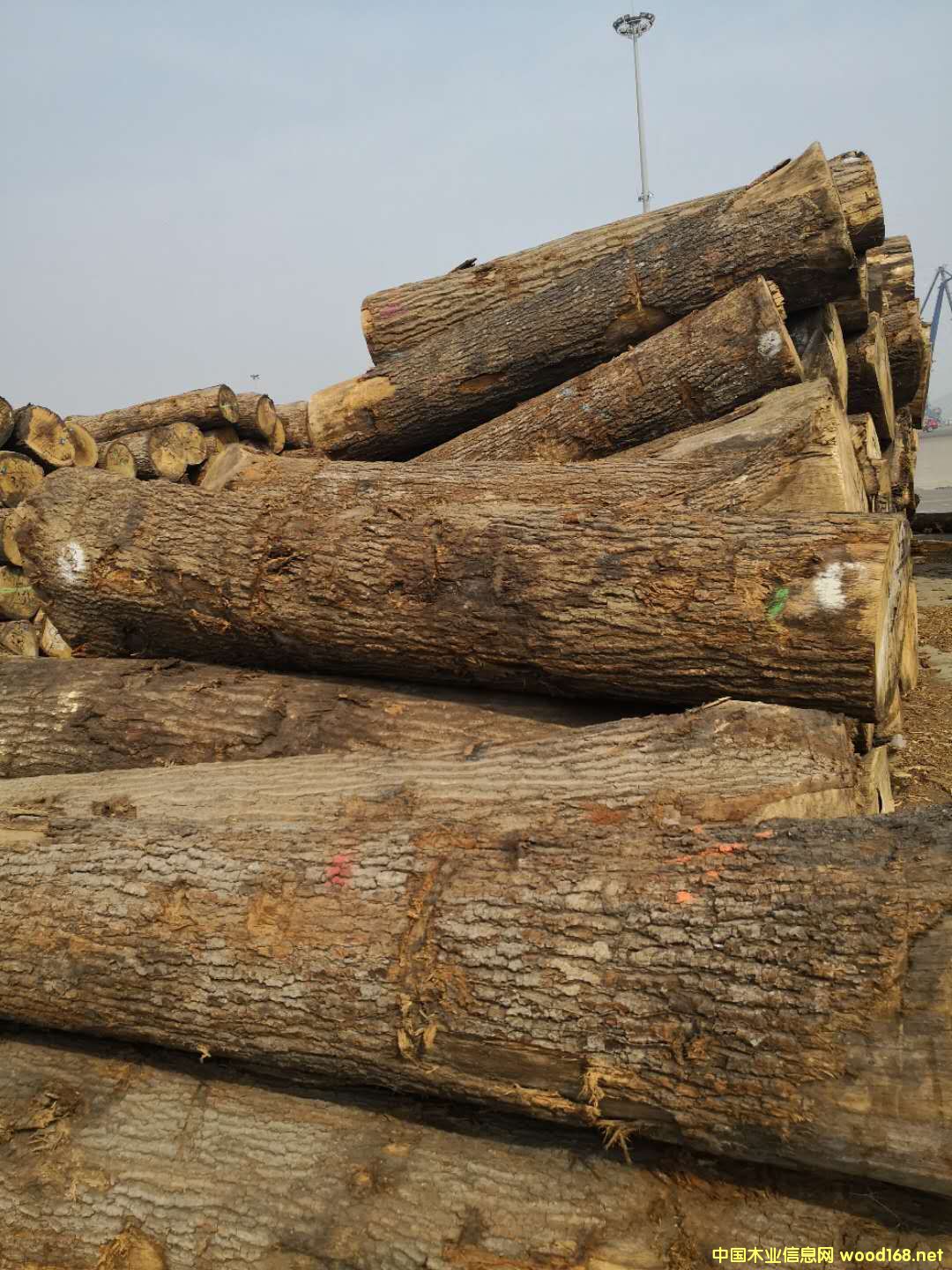 ����(gu��)�t���Ԕ��(x��)��B