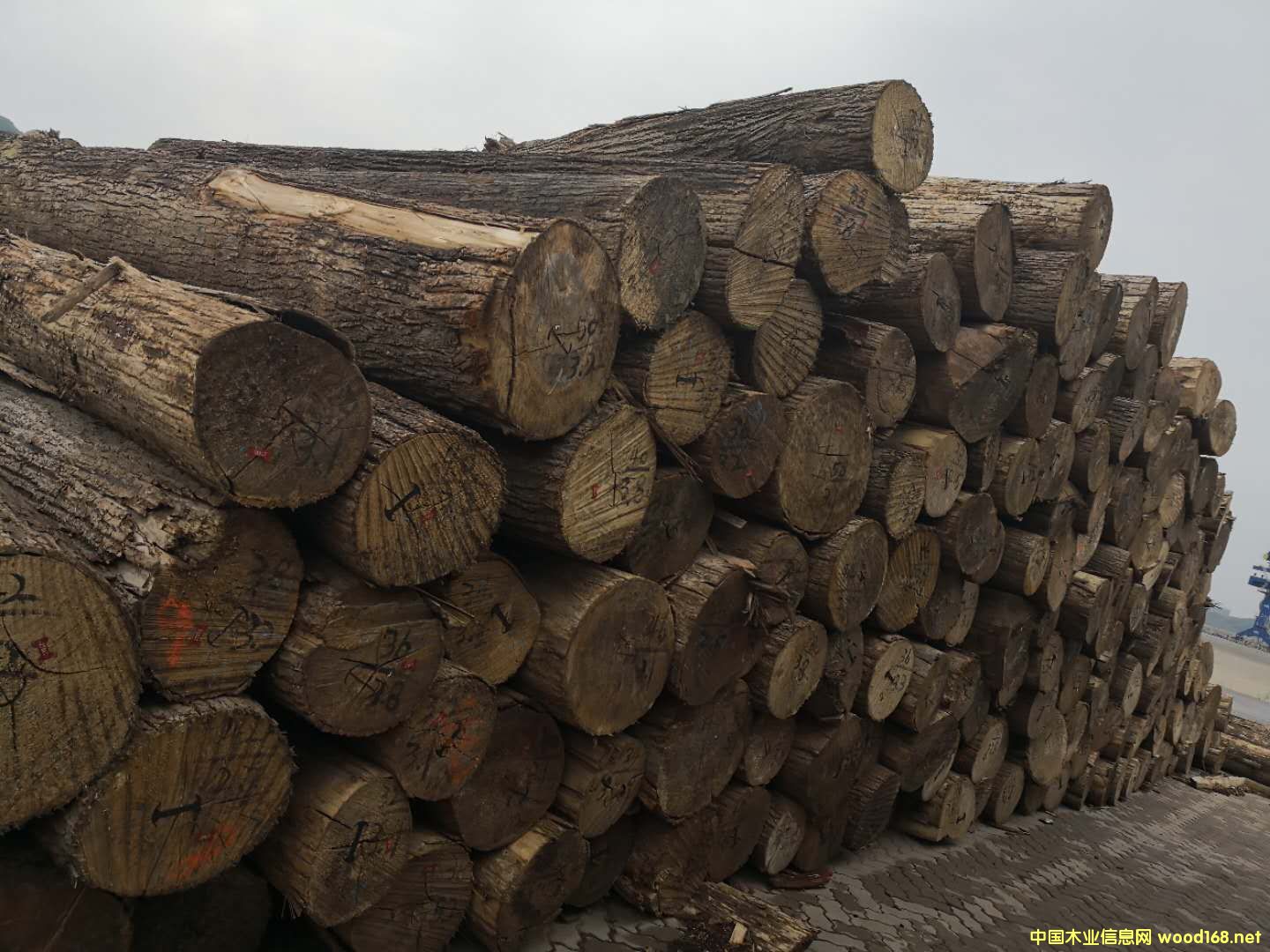 ����(gu��)�ľ