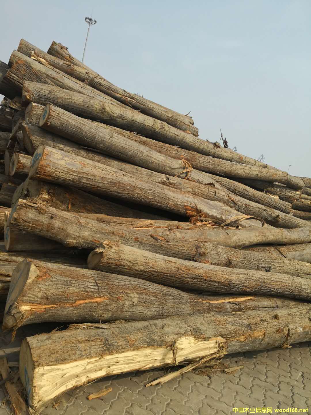 �W���ľ��Ԕ��(x��)��B