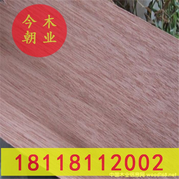 ��ľ�@�ֹŽ�����