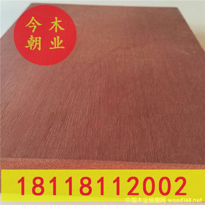 �t�̈́ڈ@�ֹŽ����ߵ�Ԕ��(x��)��B