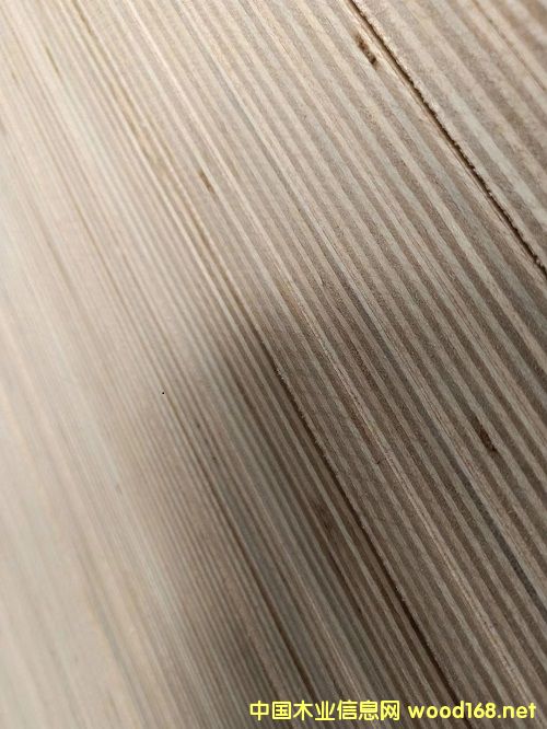 18������������ė���о