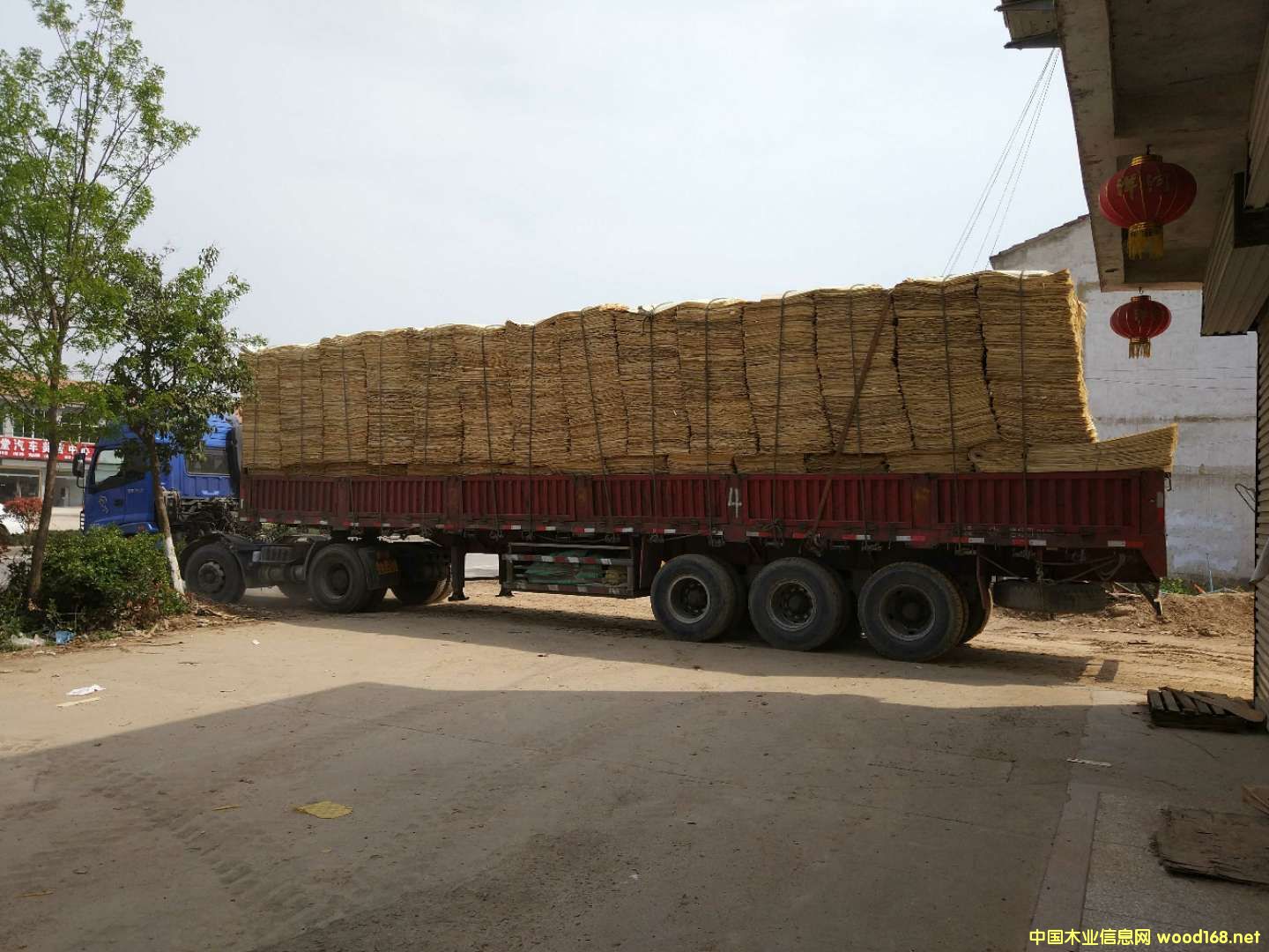 ��ľ�ΰ��Ԕ��(x��)��B