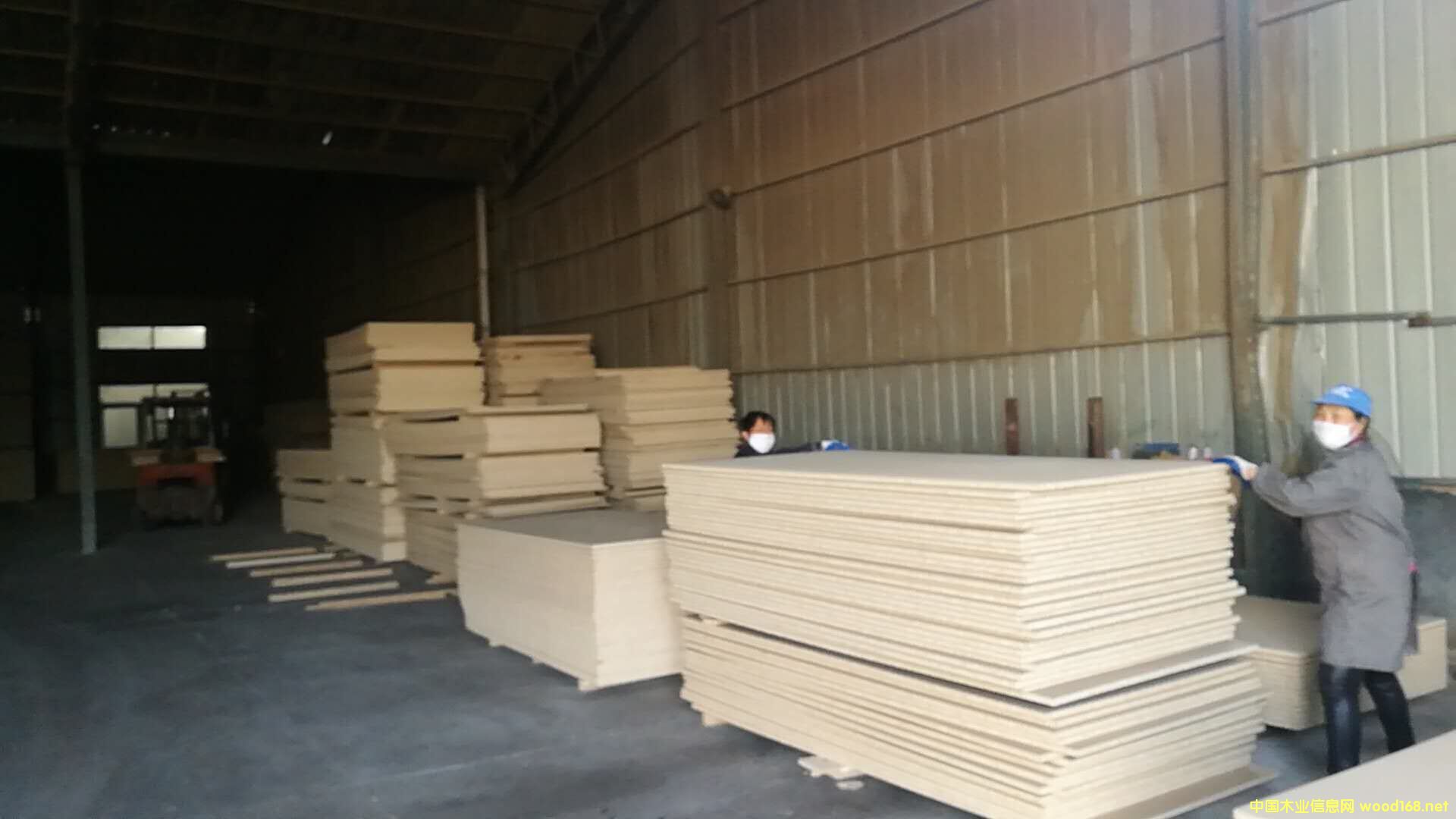 23mm���ٻ���