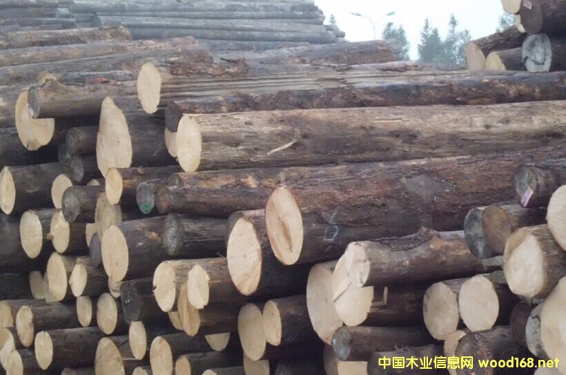 �����M(j��n)��Īɣ�ȿ���ľԭľ