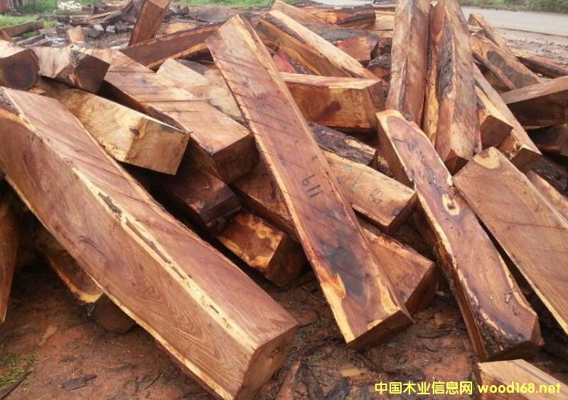 �����M(j��n)�ڷ�����̴ľԭľ