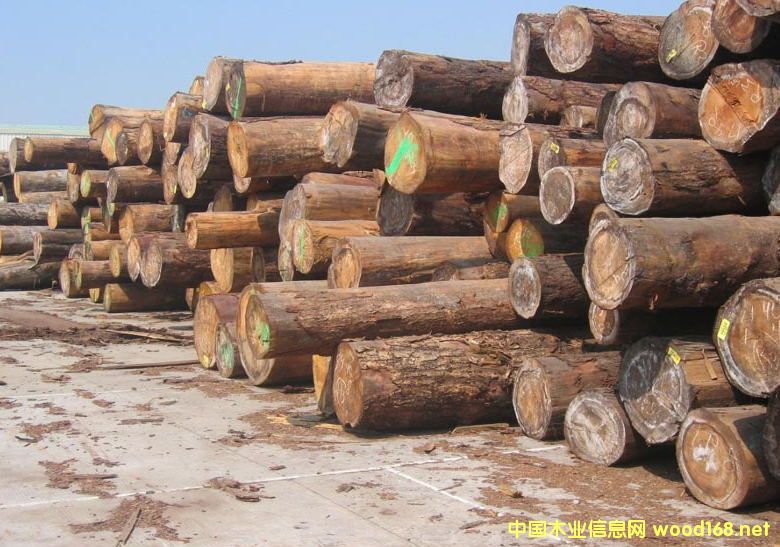 �����M(j��n)�ڼ��ô��Fɼԭľ