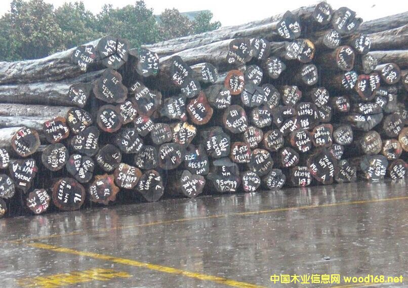 �����M�ڷ���ԭľ�Fľ��ԭľ