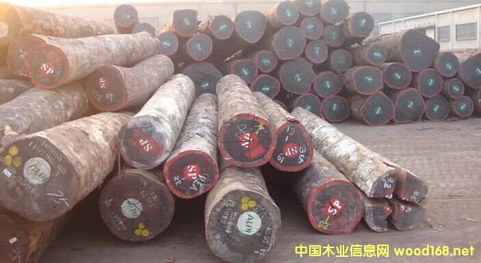 �����M(j��n)�ڰ�������ͻ�ԭľ