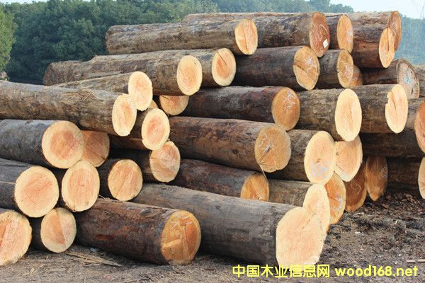 �����M�ڻ�����ԭľ