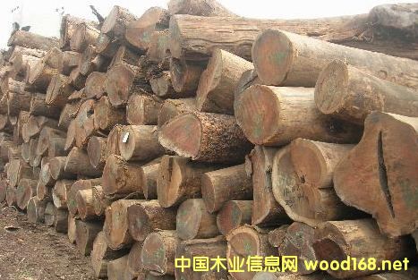 �����M(j��n)�ڷ����u��ľԭľ