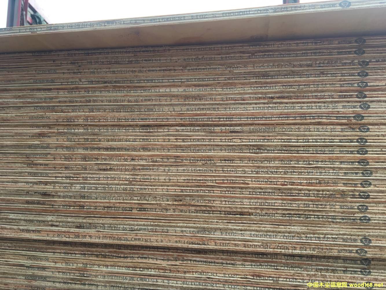 �z���Ԕ��(x��)��B